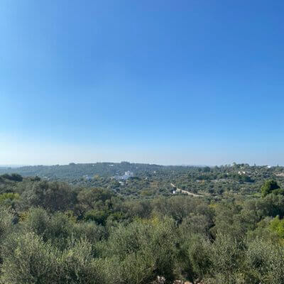 6D4E1443-582F-4380-B6B9-A52A7D58B081_1_105_c